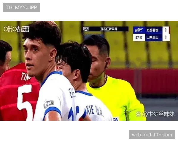 严重犯规判罚要点：何为用力过猛与红牌标准